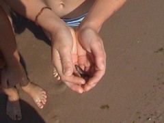 beach1-20050713.jpg