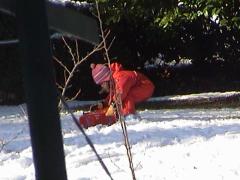 sledding20041231.jpg