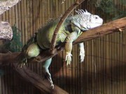 zoo3-20050721.jpg